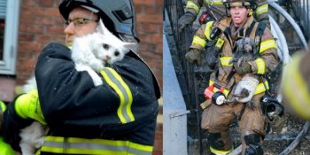 Hayvan Dostlarımız İçin Hayatlarını Riske Atmış 15 Kahraman İtfaiyeci