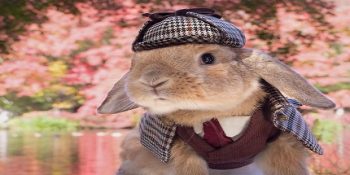 Dünyanın En Yakışıklı Tavşanı Pui Pui’den 10 Akıllara Durgunluk Veren Poz