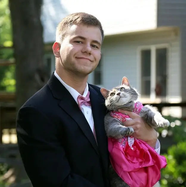 sam-steingard-kedi