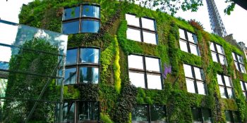 Dikey Bahçe Tasarımlarıyla 14 Harika Yaşayan Duvar Örneği