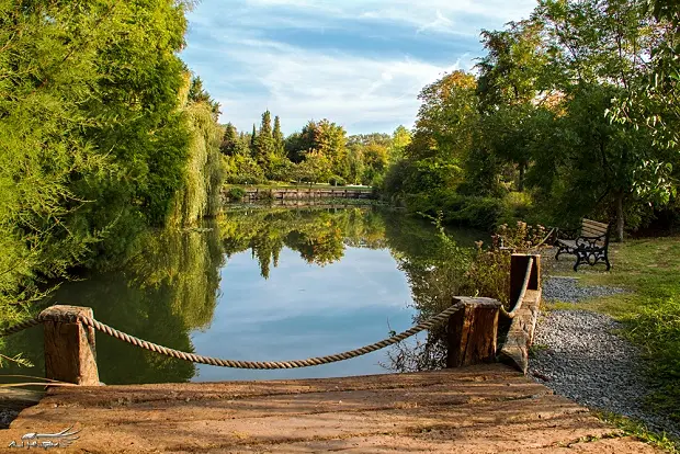 14-ataturk-arboretumu-keyfi