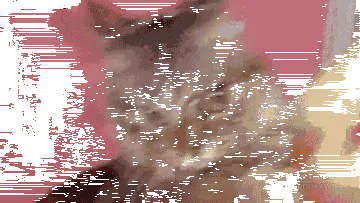 3.para-sorunu-onpano