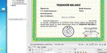 “Kenara Koyayım İleride Belki Lazım Olur” Diyenler İçin Kelepir Diploma Yaptırabileceğiniz 6 Yer