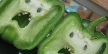 Bitkilerin Yendiğinde Acı Hissettiğini Ortaya Koyan Çarpıcı Araştırma: Modern Çiftçi