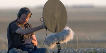 İçindeki Kayıtlarla Sizi İnanılmaz Duygulara Sürükleyecek Dünyanın En Büyük Doğa Ses Kütüphanesi