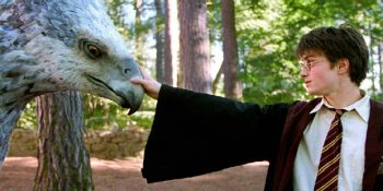 Harry Potter Kitaplarından Uyarlanan 8 Film