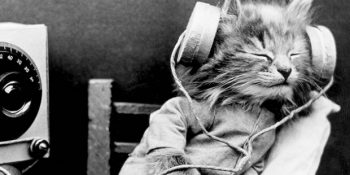 Ne Dinlesem Sorunsalına Her Seferinde Cevap Olabilecek 29 Güçlü Şarkı