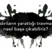 4 Uzman Görüşüyle Saldırılar Sonrasında Yaşadığımız Korku ve Travma ile Nasıl Başa Çıkabiliriz?