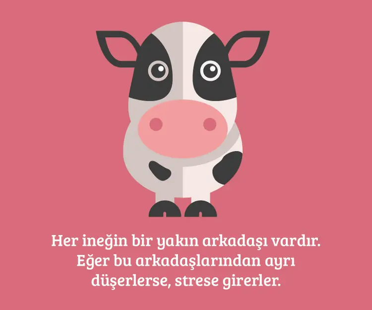 1-inek