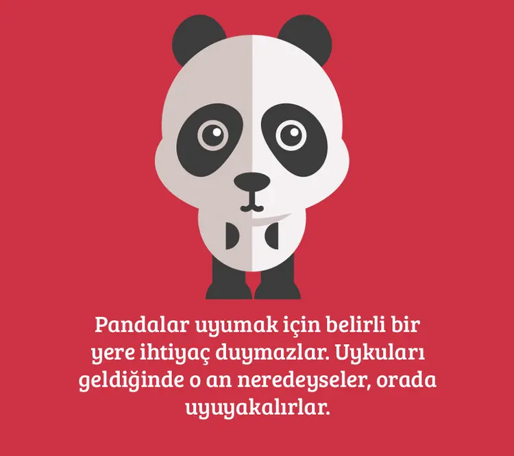 2-panda