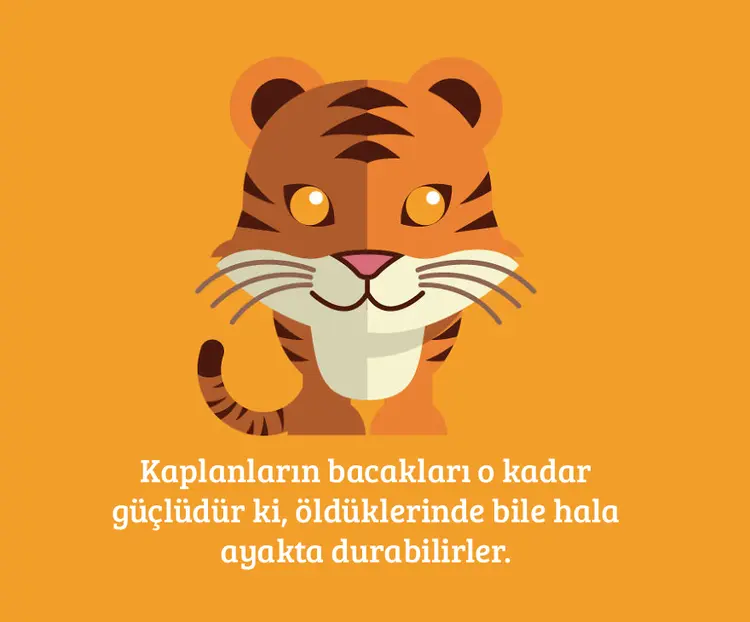 4-aslan