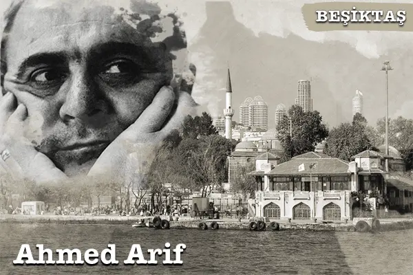 ahmet arif beşiktaş