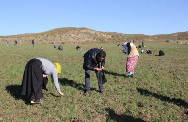 Bingöl’e düşen göktaşı