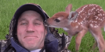 Hayatını Kurtaran Adamdan Ayrılmamak İçin Israr Eden Sevimli Ceylan Yavrusu