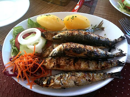 fosfor-balık-zeka