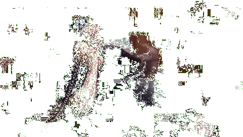 giphy (1)