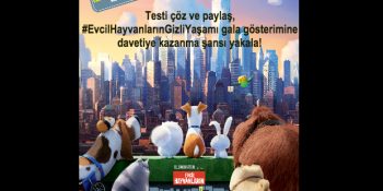 Evcil Hayvanınızın Siz Evde Yokken Yaptığı 10 Gizli Şey