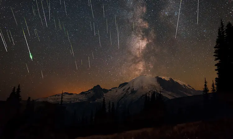 perseidn-1000x600