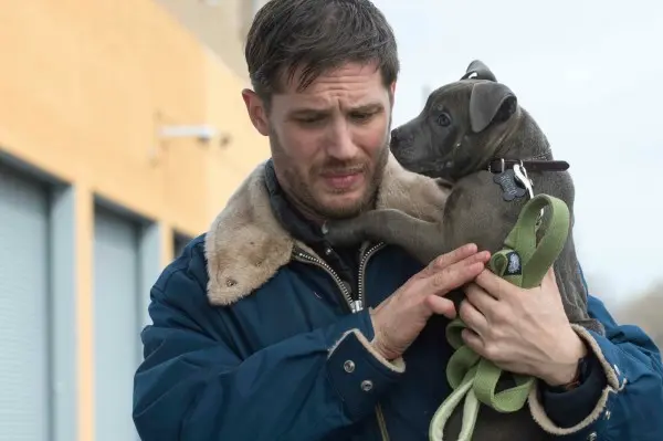 the-drop-tom-hardy-kopek