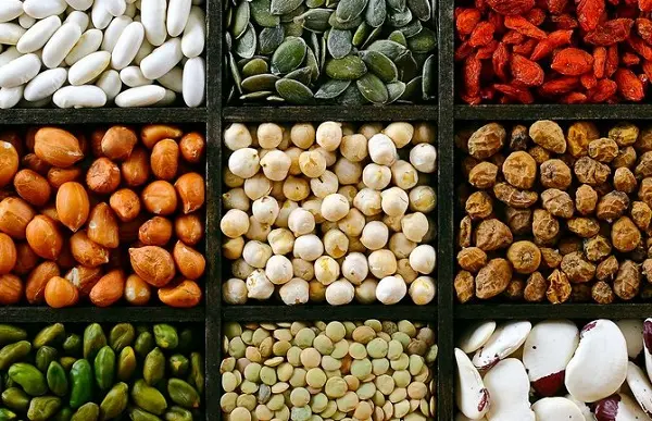 veganbeslenme