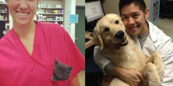 Hayvan Dostlarımızın Mutluluğu İçin Veteriner Seçiminde Dikkat Edilmesi Gereken 13 Şey