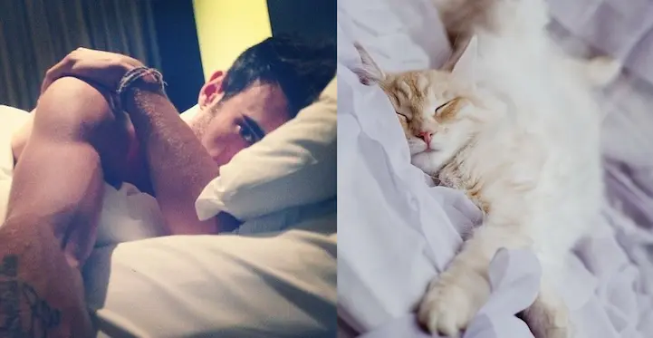 01 erkek vs kedi