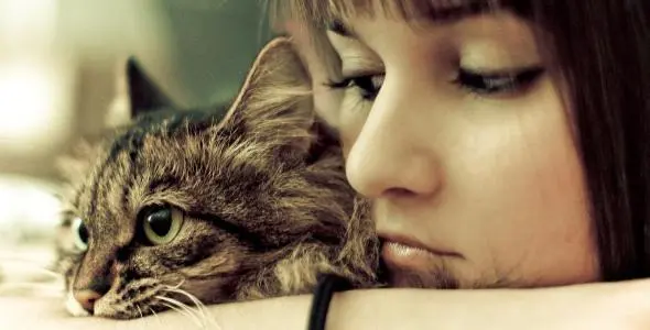 02 cats