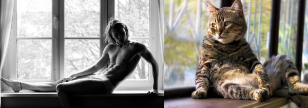 021 erkek vs kedi
