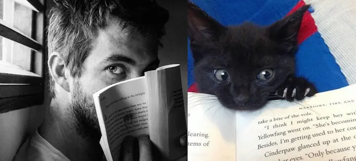 03 erkek vs kedi
