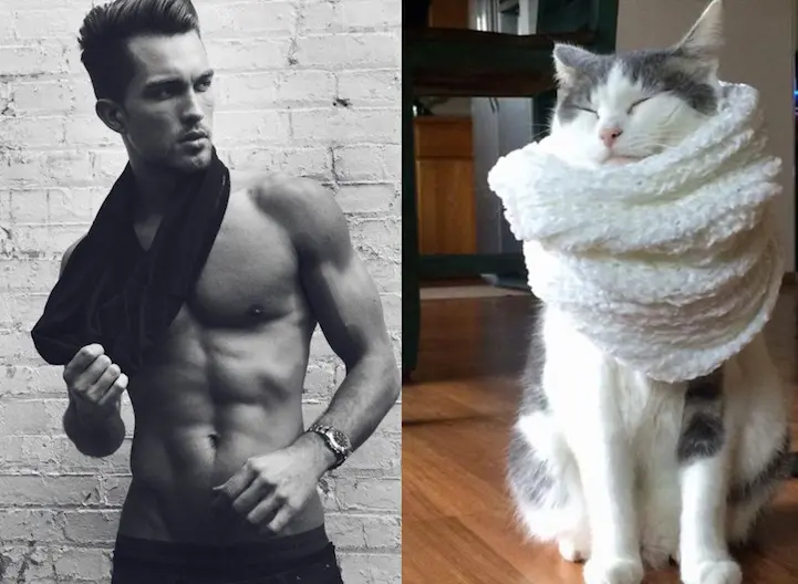04 erkek vs kedi