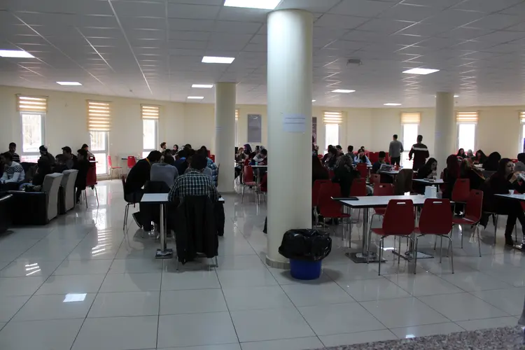 05üniversite öğrencilerine tavsiyeler