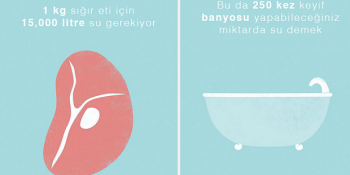Tükettiğimiz Yiyecekler İçin Harcanan Su Miktarını Gösteren Ufuk Açıcı İllüstrasyonlar