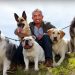 Köpeklere Fısıldayan Adam Cesar Milan’dan Köpeğinizi Daha İyi Tanımanızı Sağlayacak 10 Tavsiye
