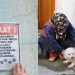 Keşke Örnek Olsa: Kedi ve Köpeklerin Koruma Altında Olduğu Hayvansever Mahalle