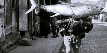 İstanbul’un Balık Cenneti Olduğu Yıllara Ait 22 Çok Nostaljik Fotoğraf