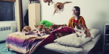 Kedi Seven İnsanları Bir Türlü Anlayamayanlara Kedilerin Neden Sevildiğini Anlatan 24 Madde