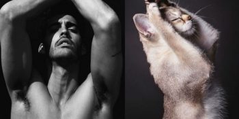 Kadınlar Venüs’ten Erkekler ve Kediler Mars’tan Dedirten 26 Mutlak Benzerlik