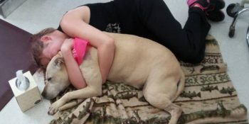 Çektiği Acılara Dayanamayıp Köpeğini Uyutmak Zorunda Kalan Ailenin Hüzün Dolu Öyküsü