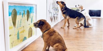 Köpekler İçin Hazırlanmış İlk Resim Sergisi Play More ve Sanata Doyan Patiler