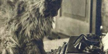 Türk Edebiyatının Ünlü İsimlerinden Kedi Sevgisi Hakkında 13 İlginç Bilgi