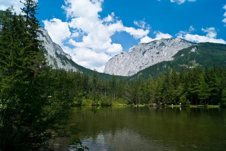 grüner see green lake yeşil göl