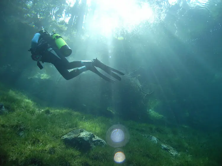 grüner see green lake yeşil göl
