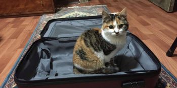 Adım Adım Sokakta Başlayıp Sıcacık Bir Yuvada Devam Eden Bir Sevgi Öyküsü-2