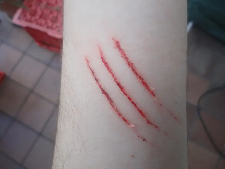 cat_scratch_make_up_by_sarah_sweetblood7-d5xnxpz