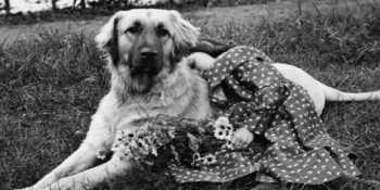 Sizi Alıp Bir Asır Öncesine Götürecek Stereoskop ile Hazırlanmış Üç Boyutlu Fotoğraflar