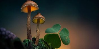 Bütün Duygularınızı Harekete Geçirmesi Garanti Yaşamın İçinden 25 Harika Fotoğraf