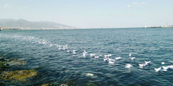 İranlı Sanatçının Yaşanan Mülteci Dramına Dikkat Çekmek İçin Yaptığı Yürek Sızlatan Eylem