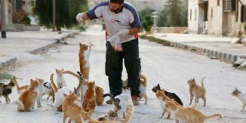 Terk Edilen Kedilere Bakmak İçin Savaş Bölgesinde Yaşamaya Devam Eden Hayvansever Adam