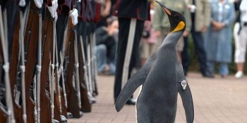 Öğrendiğinizde İçinizdeki Norveç Sevgisini Ortaya Çıkaracak 10 Absürd Olay
