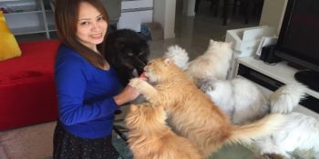 Takip Ederken Aşırı Dozda Kediye Maruz Kalacağınız Tatlış Bir Kedi Annesinin Instagram Hesabı